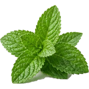 Aceite de menta piperita
